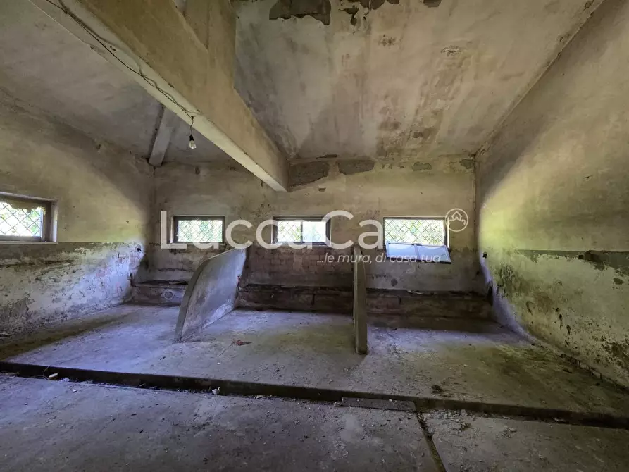 Immagine 15 di Casa colonica in vendita  a Pietrasanta