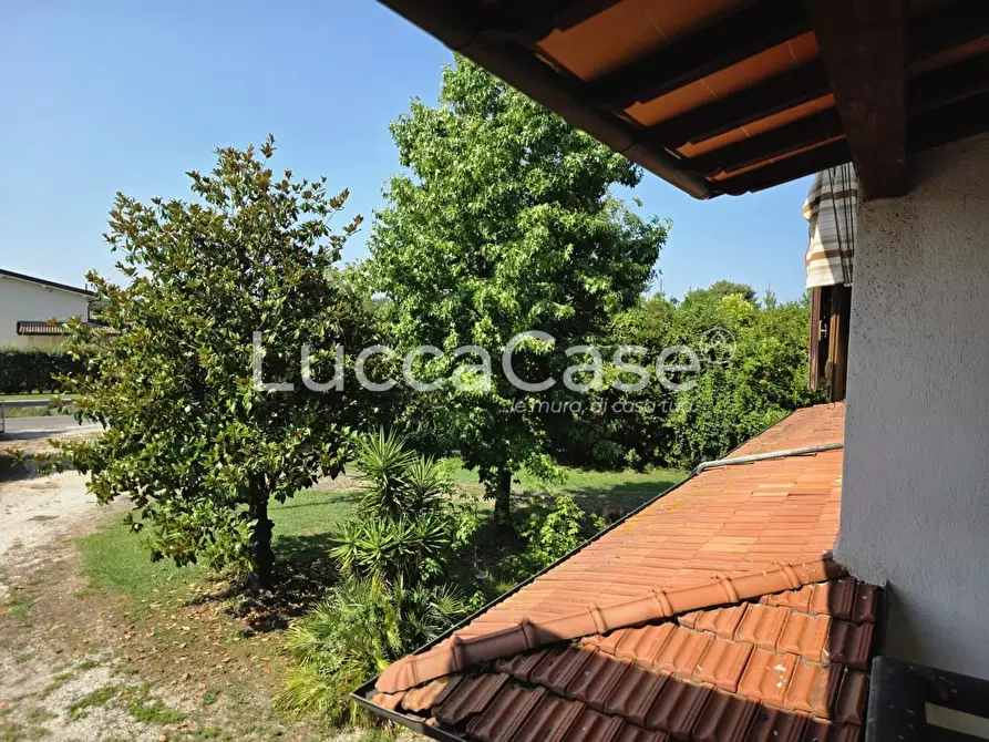 Immagine 7 di Casa colonica in vendita  a Pietrasanta