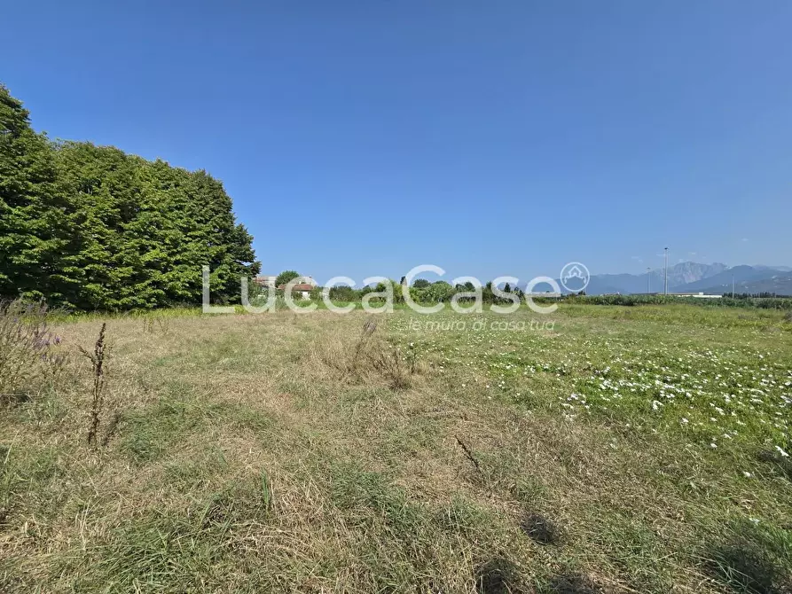 Immagine 12 di Casa colonica in vendita  a Pietrasanta