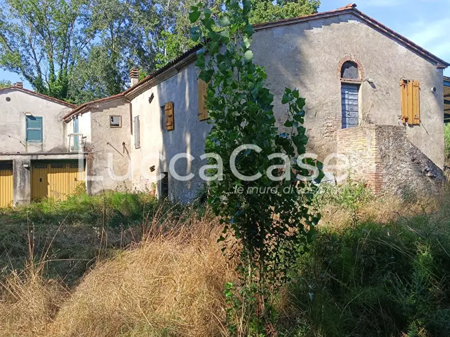 Immagine 3 di Casa colonica in vendita  a Terricciola