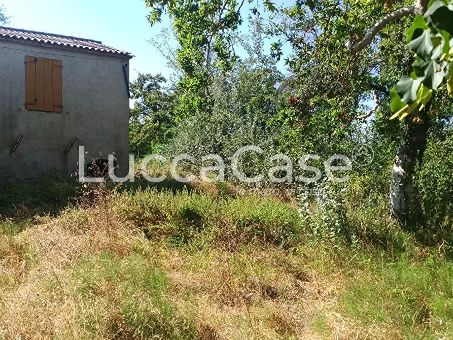 Immagine 6 di Casa colonica in vendita  a Terricciola