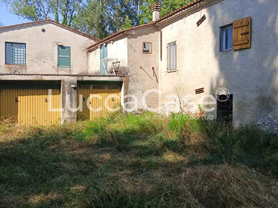 Immagine 2 di Casa colonica in vendita  a Terricciola