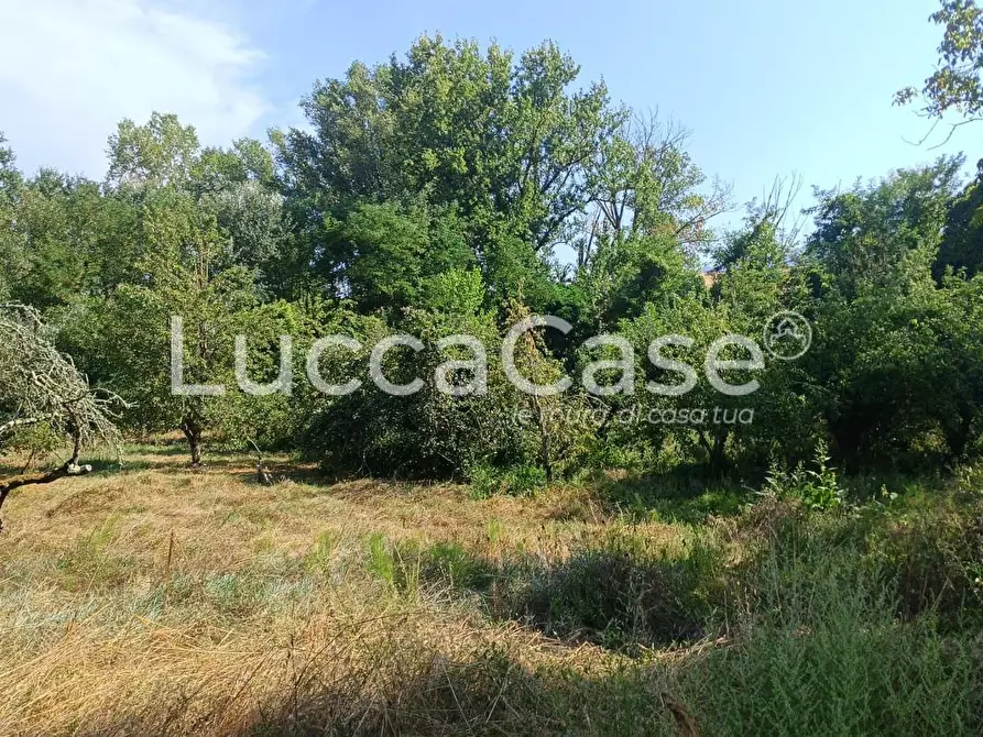 Immagine 7 di Casa colonica in vendita  a Terricciola