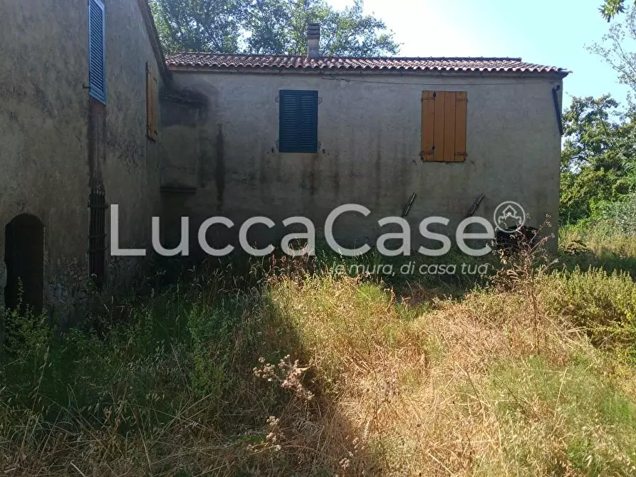 Immagine 5 di Casa colonica in vendita  a Terricciola