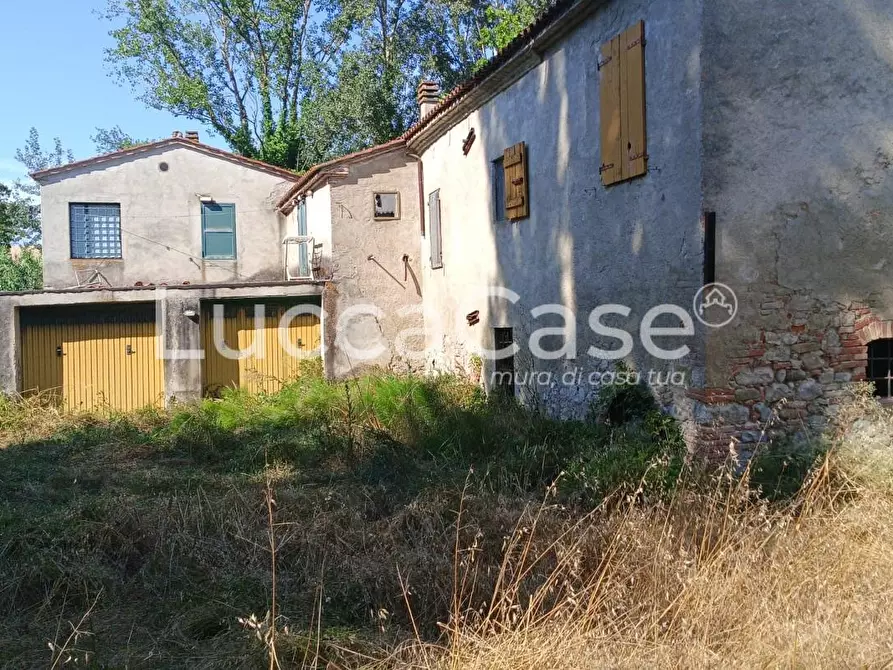Immagine 4 di Casa colonica in vendita  a Terricciola