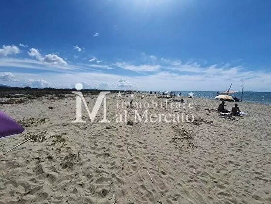 Immagine 4 di Appartamento in vendita  a Viareggio