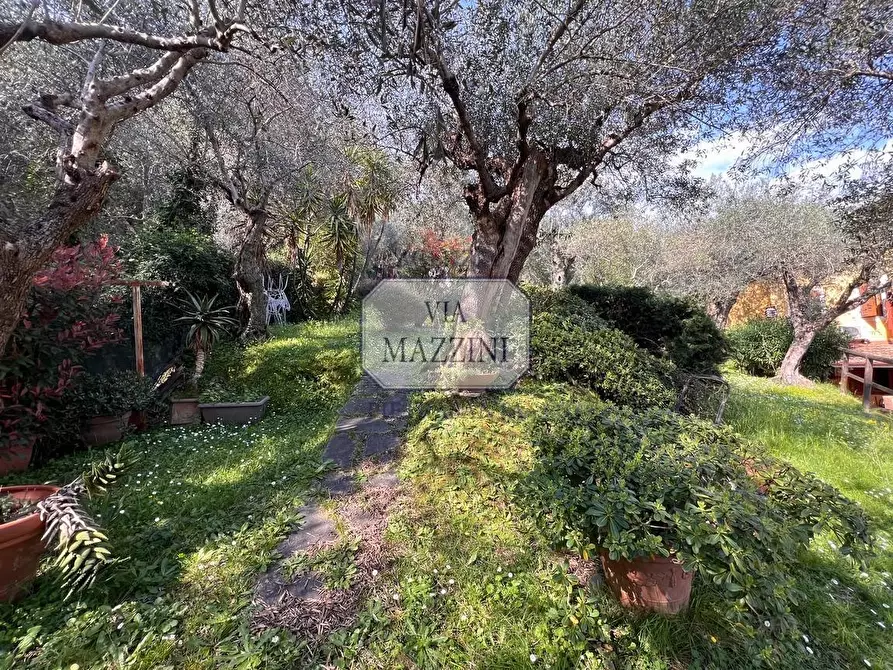 Immagine 24 di Casa bifamiliare in vendita  a Pietrasanta