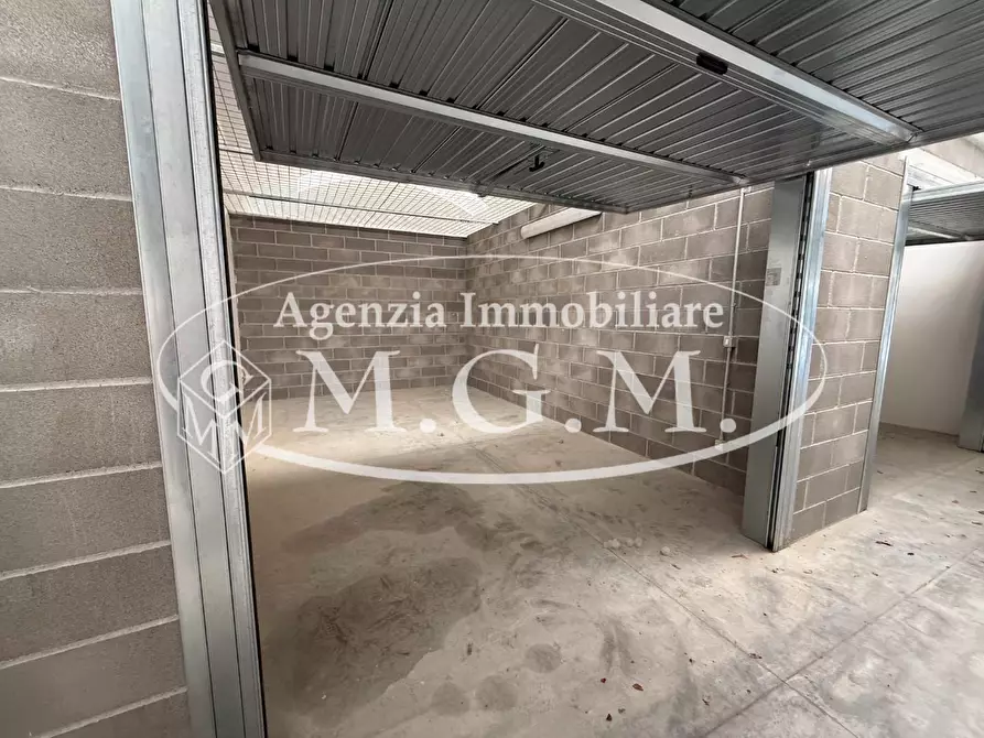 Immagine 21 di Garage in vendita  a Bientina