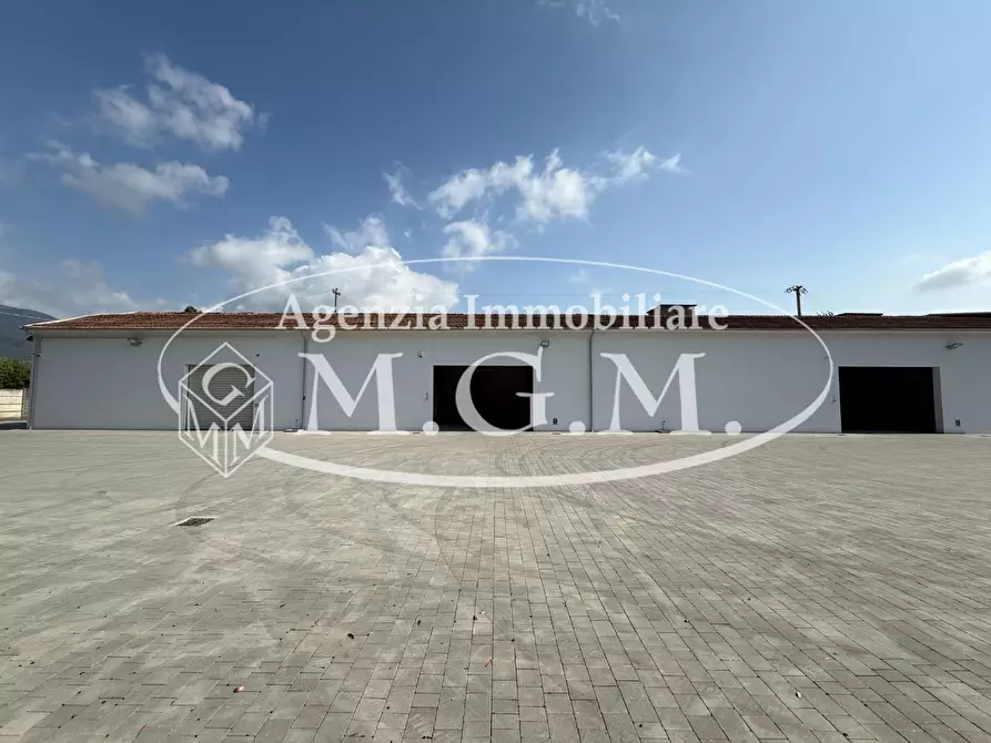 Immagine 10 di Garage in vendita  a Bientina