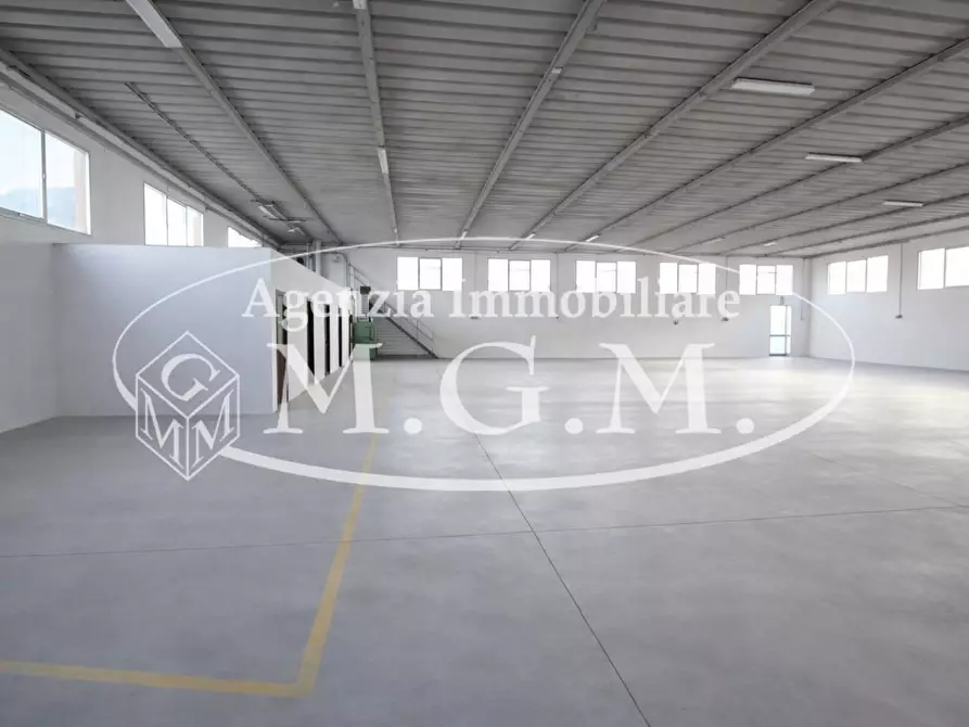 Immagine 5 di Attività artigianale in affitto  a Santa Maria A Monte