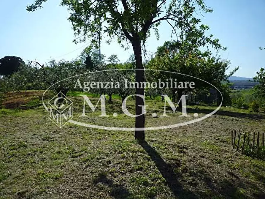 Immagine 10 di Terratetto in vendita  a Montopoli In Val D'arno