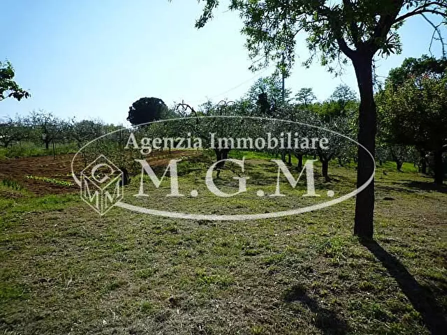 Immagine 11 di Terratetto in vendita  a Montopoli In Val D'arno