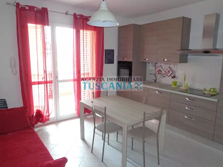 Immagine 1 di Appartamento in affitto  a Castagneto Carducci