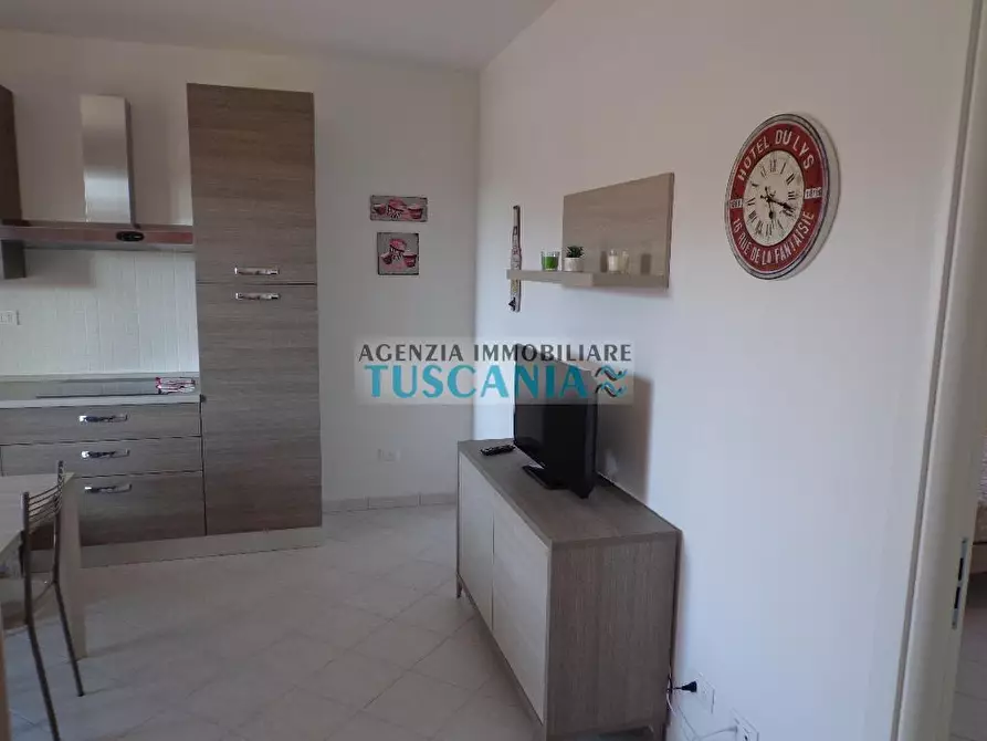 Immagine 8 di Appartamento in affitto  a Castagneto Carducci