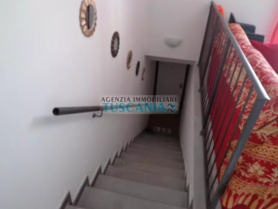 Immagine 7 di Appartamento in affitto  a Castagneto Carducci