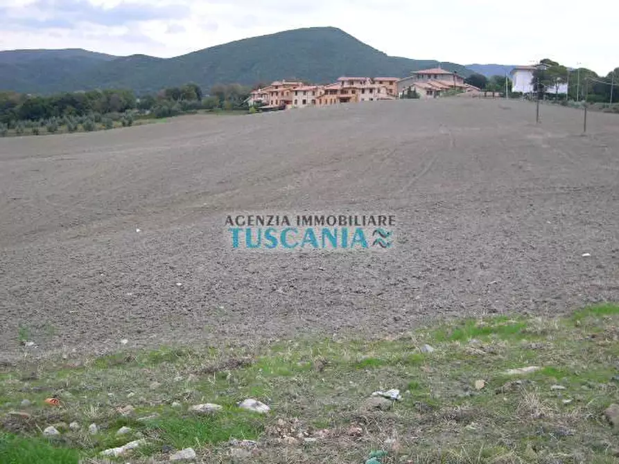 Immagine 6 di Terreno residenziale in vendita  a Santa Luce