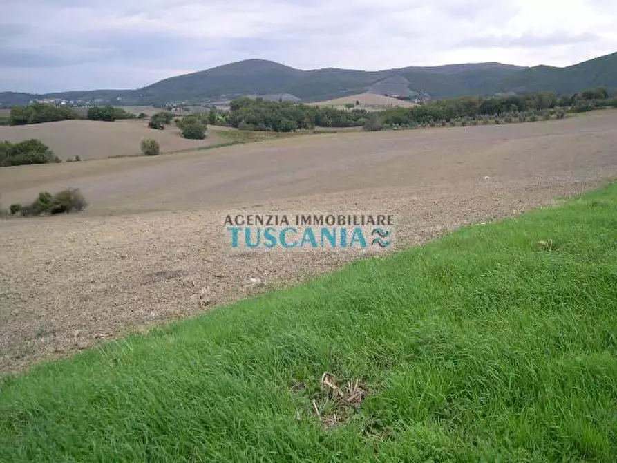 Immagine 3 di Terreno residenziale in vendita  a Santa Luce