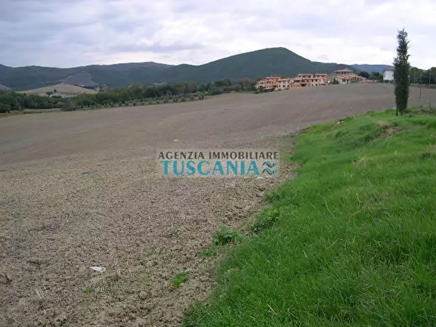 Immagine 4 di Terreno residenziale in vendita  a Santa Luce