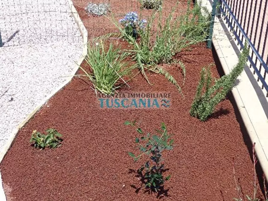 Immagine 21 di Appartamento in affitto  a Castagneto Carducci