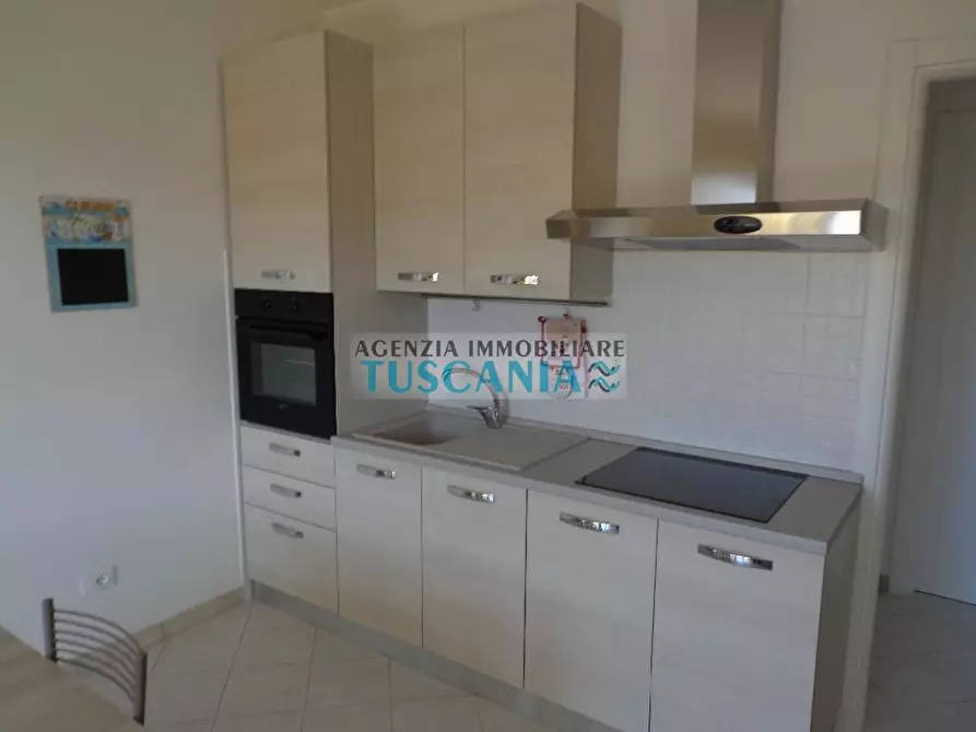 Immagine 11 di Appartamento in affitto  a Castagneto Carducci