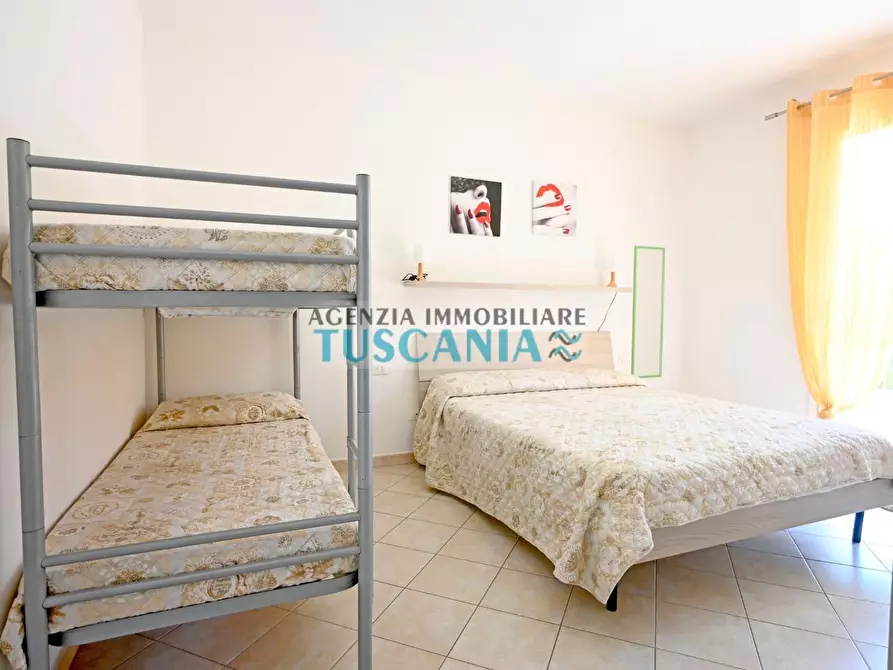 Immagine 15 di Appartamento in affitto  a Castagneto Carducci