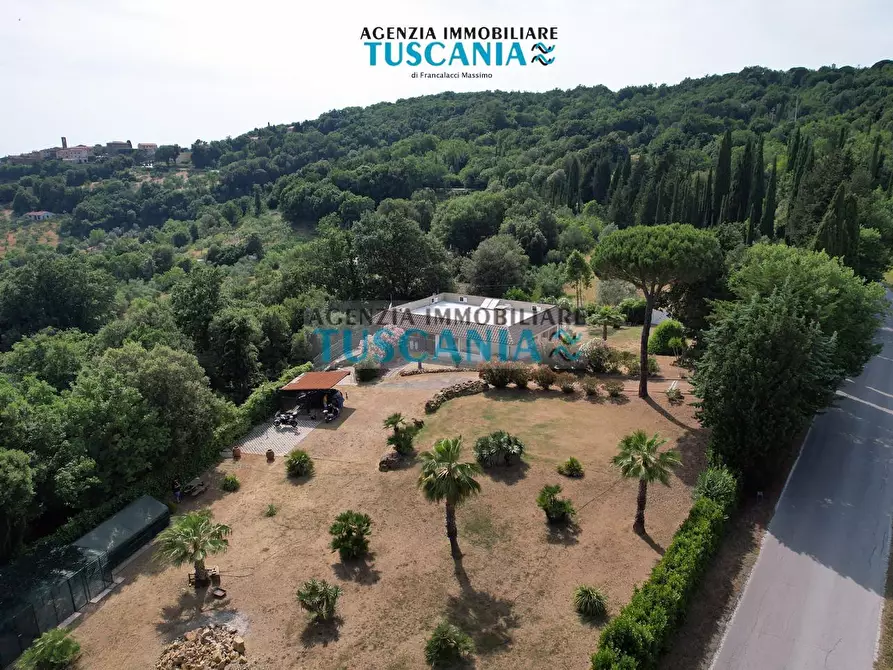 Immagine 41 di Villa in vendita  a Monteverdi Marittimo