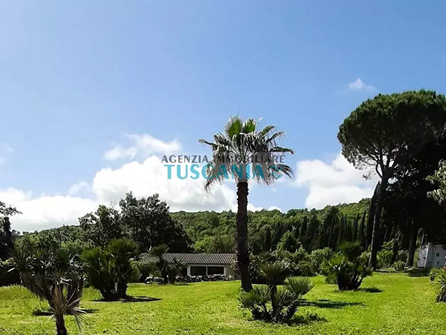 Immagine 38 di Villa in vendita  a Monteverdi Marittimo