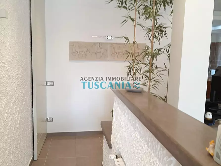 Immagine 8 di Villa in vendita  a Monteverdi Marittimo