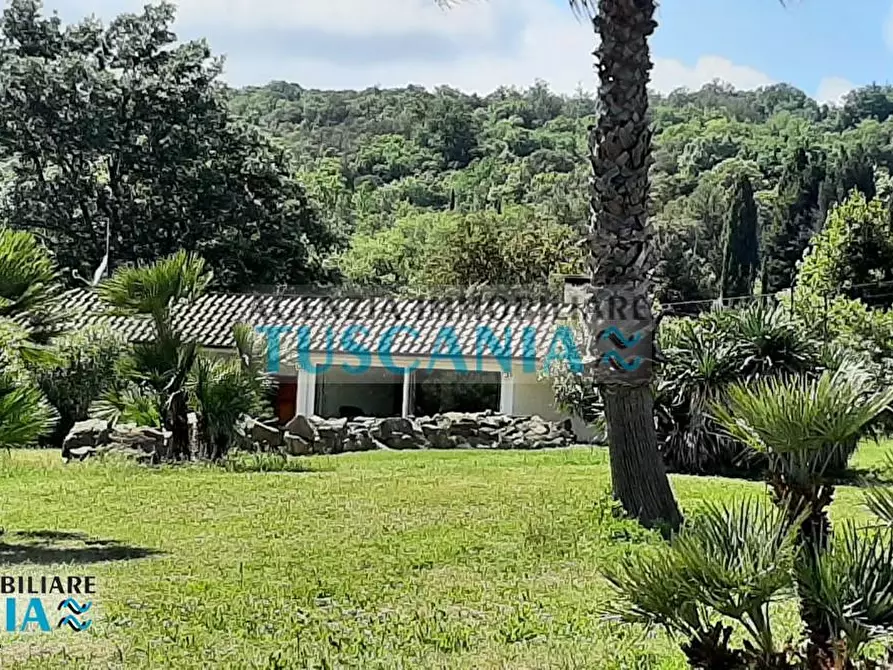 Immagine 37 di Villa in vendita  a Monteverdi Marittimo