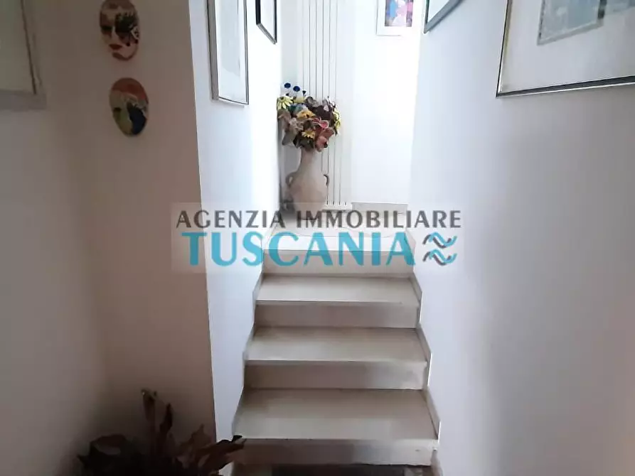 Immagine 9 di Villa in vendita  a Cecina