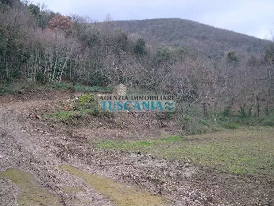 Immagine 11 di Casa indipendente in vendita  a Montecatini Val Di Cecina