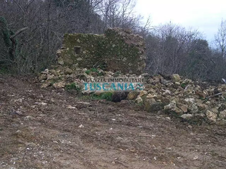 Immagine 12 di Casa indipendente in vendita  a Montecatini Val Di Cecina