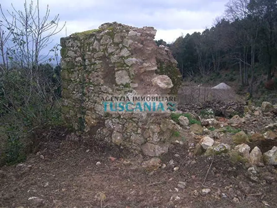 Immagine 3 di Casa indipendente in vendita  a Montecatini Val Di Cecina
