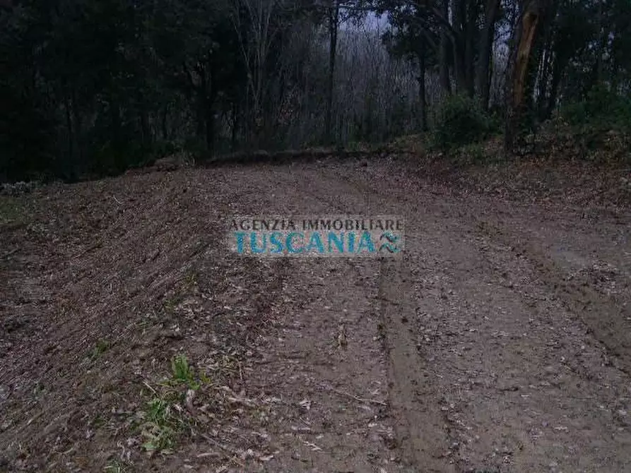 Immagine 7 di Casa indipendente in vendita  a Montecatini Val Di Cecina