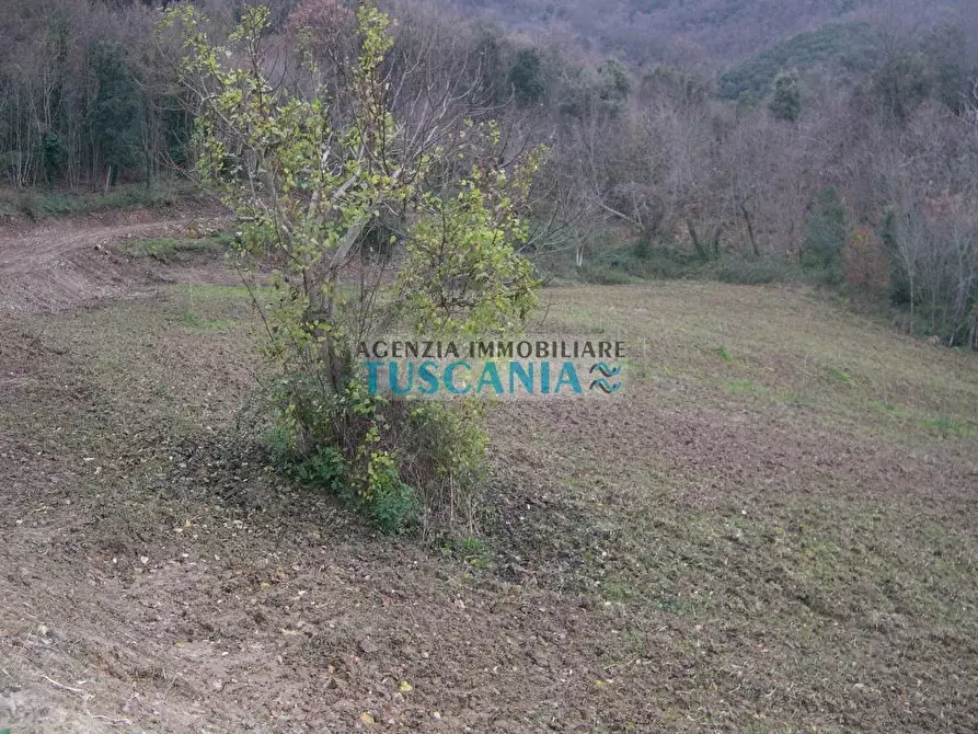 Immagine 5 di Casa indipendente in vendita  a Montecatini Val Di Cecina