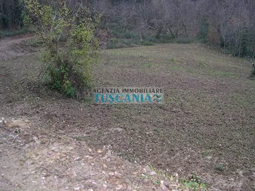 Immagine 8 di Casa indipendente in vendita  a Montecatini Val Di Cecina