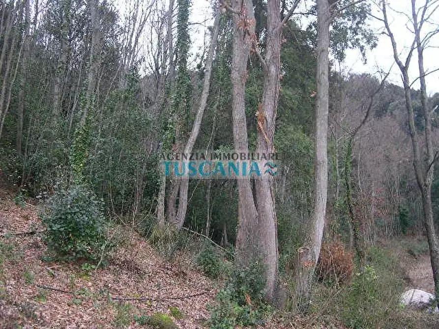 Immagine 9 di Casa indipendente in vendita  a Montecatini Val Di Cecina