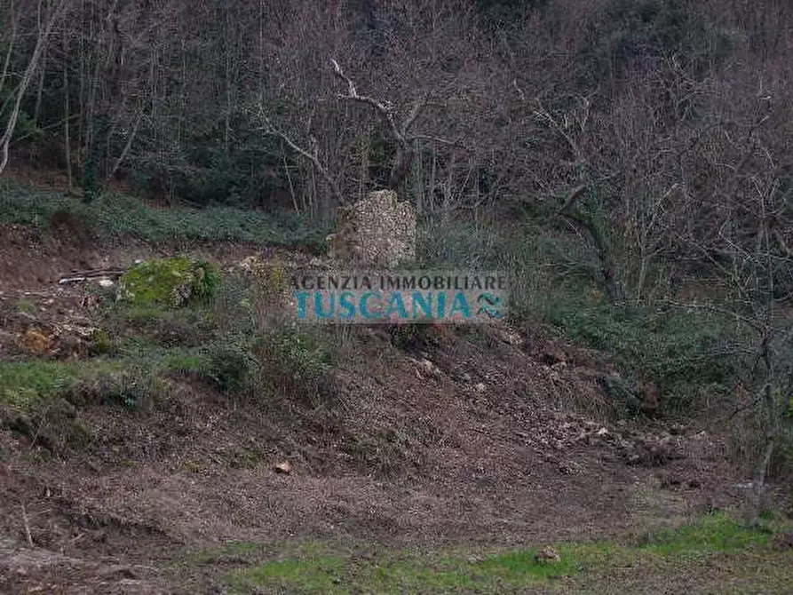 Immagine 10 di Casa indipendente in vendita  a Montecatini Val Di Cecina
