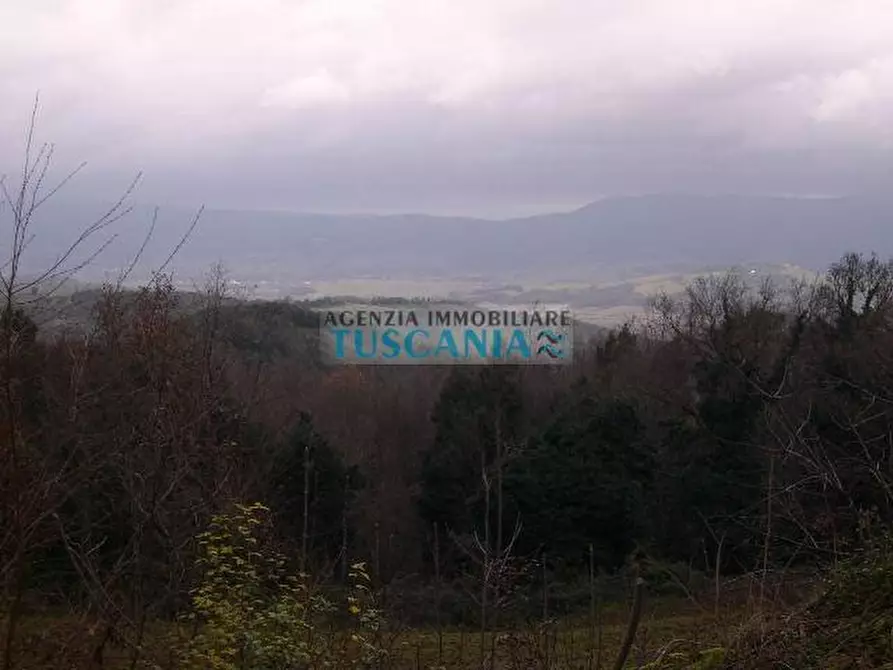Immagine 13 di Casa indipendente in vendita  a Montecatini Val Di Cecina