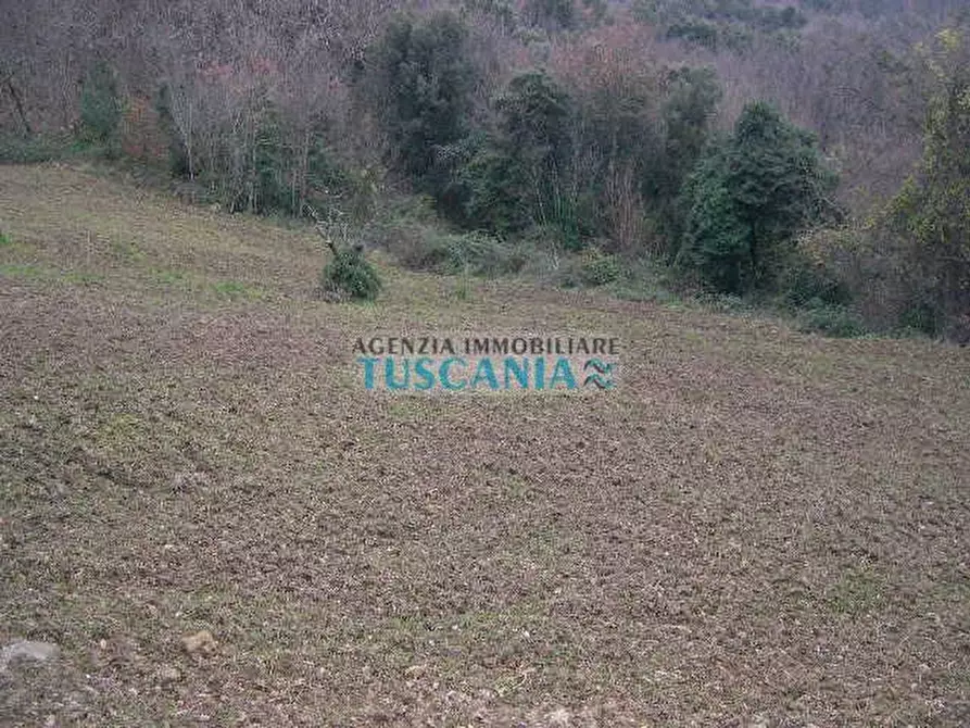 Immagine 6 di Casa indipendente in vendita  a Montecatini Val Di Cecina