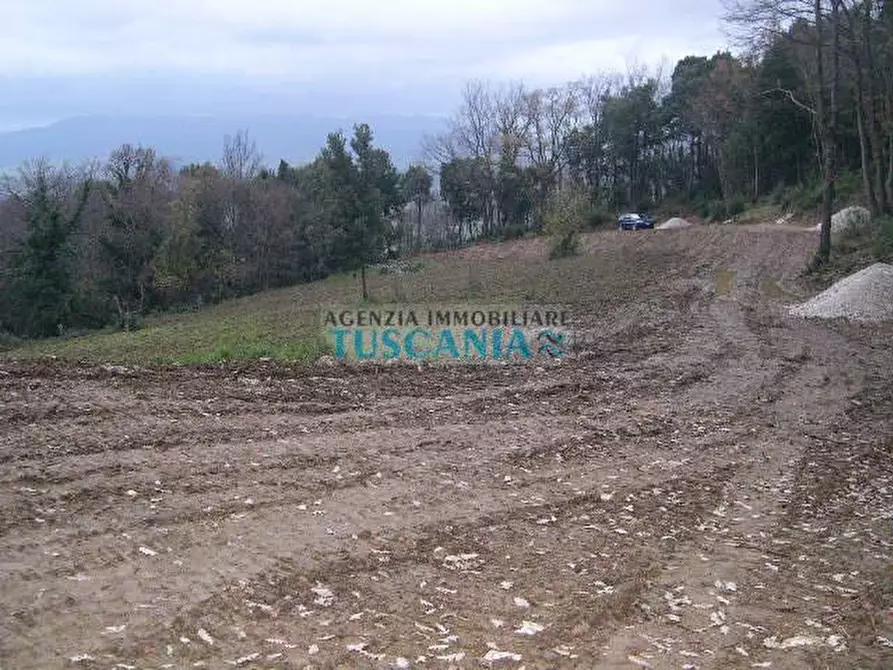 Immagine 4 di Casa indipendente in vendita  a Montecatini Val Di Cecina
