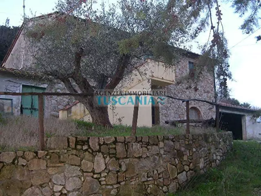 Immagine 3 di Casa colonica in vendita  a Pomarance