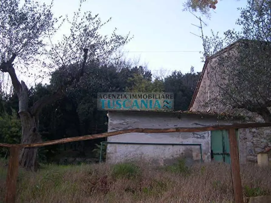 Immagine 4 di Casa colonica in vendita  a Pomarance