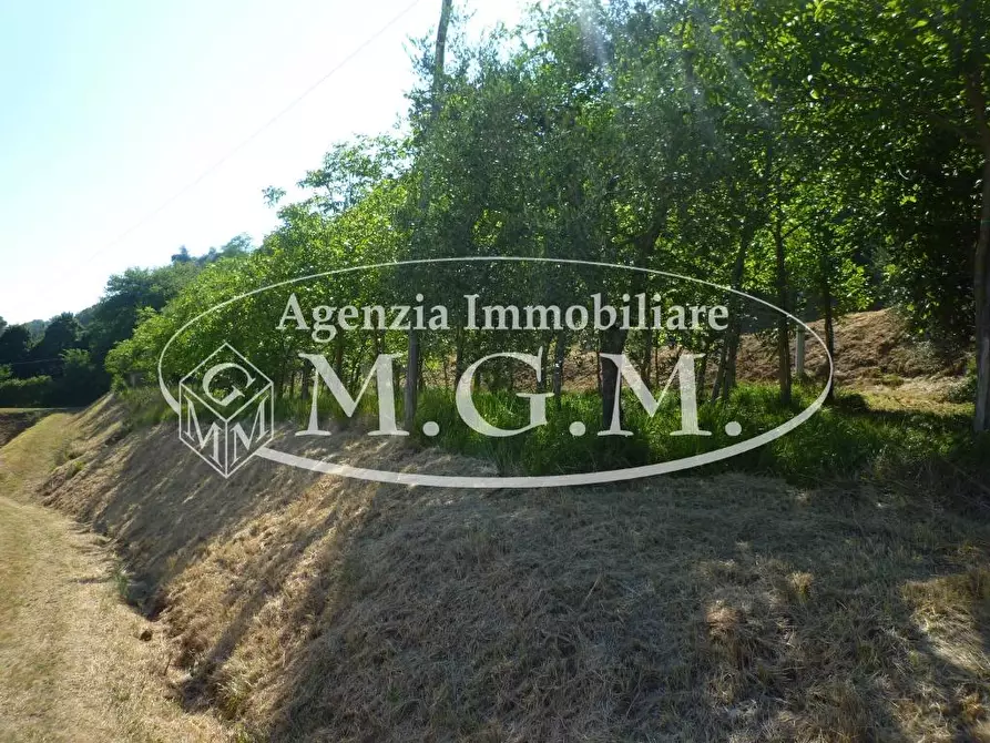 Immagine 30 di Casa colonica in vendita  a Castelfranco Di Sotto