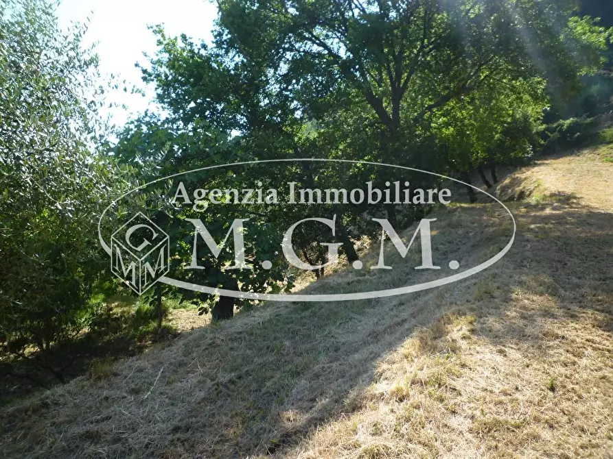 Immagine 26 di Casa colonica in vendita  a Castelfranco Di Sotto