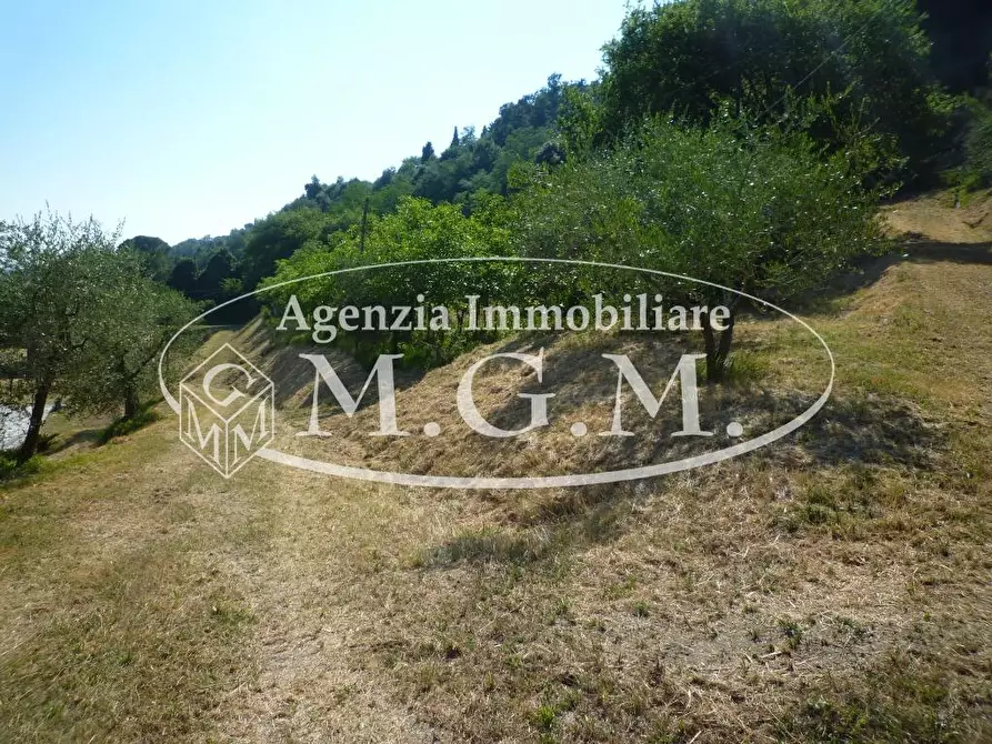 Immagine 25 di Casa colonica in vendita  a Castelfranco Di Sotto