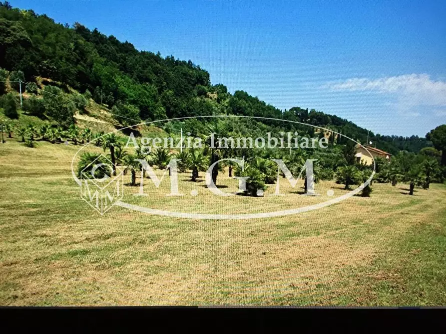 Immagine 8 di Casa colonica in vendita  a Castelfranco Di Sotto