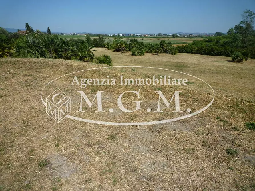 Immagine 15 di Casa colonica in vendita  a Castelfranco Di Sotto