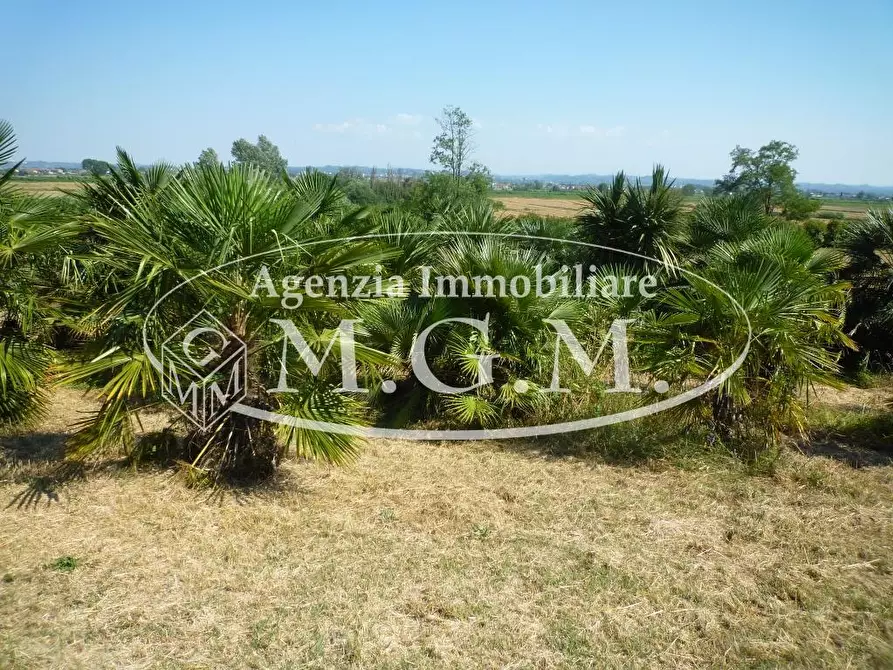 Immagine 20 di Casa colonica in vendita  a Castelfranco Di Sotto