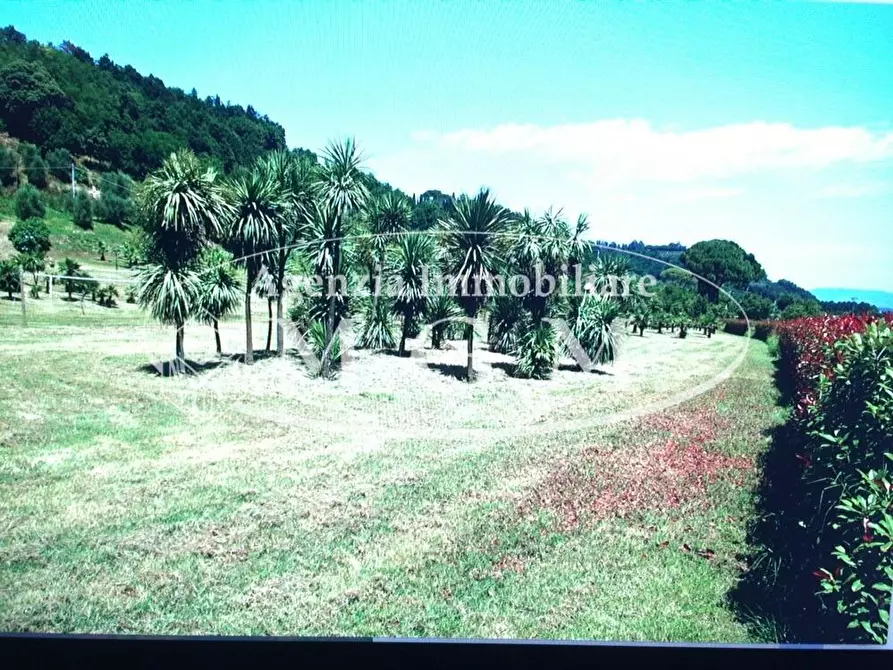 Immagine 6 di Casa colonica in vendita  a Castelfranco Di Sotto